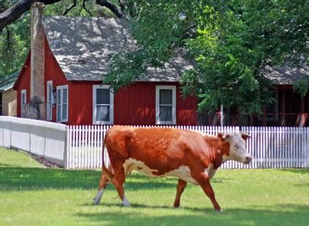 The Great American RoadTrip Forum - Lyndon B. Johnson Ranch District - Stonewall, Texas