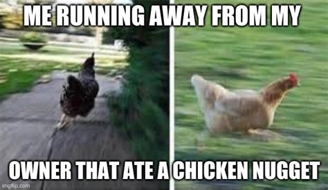 running chicken Memes - Imgflip