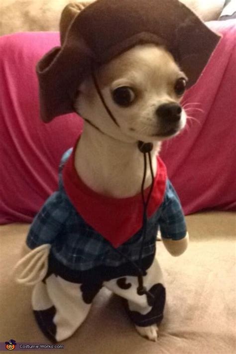 Pet Chihuahua Halloween Costumes - Pets Lovers