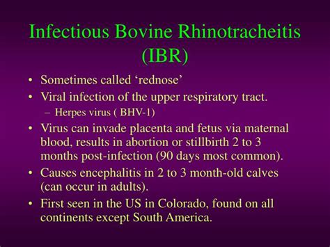 PPT - Infectious Bovine Rhinotracheitis (IBR) PowerPoint Presentation, free download - ID:1414096