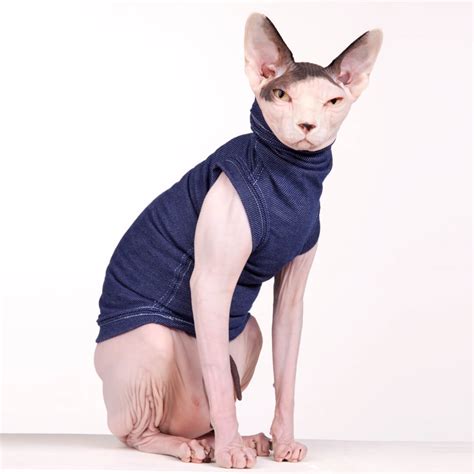 THE SKINNY JEAN – Sphynx Cat Wear