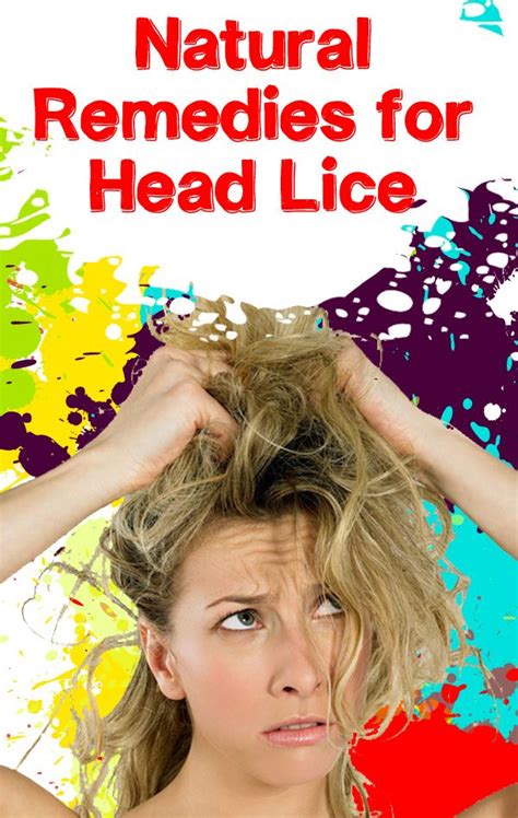 Home Remedies for Head Lice | NaturalHQ | Head lice remedy, Home remedies for head lice, Home ...
