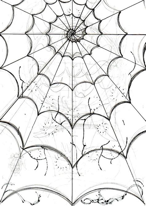 spider's web -sketch- by dfmurcia on DeviantArt