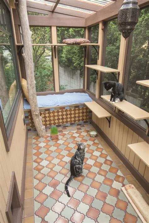 Beautiful DIY Catio - Custom Catios