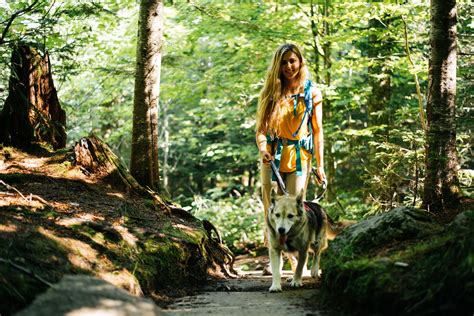 Hiking With Dogs | Official Adirondack Region Website