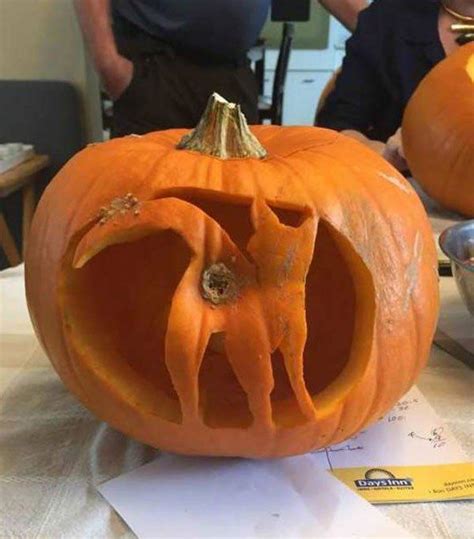 Funny Pumpkin Carvings