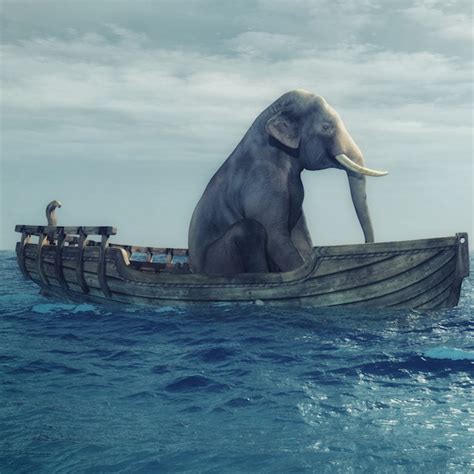 Elephant in a boat at sea. - Jessica Shepherd