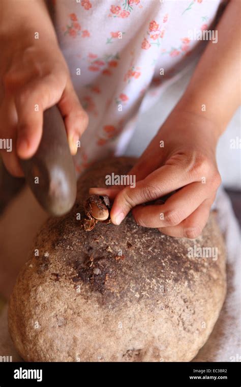 Argan oil production Stock Photo - Alamy