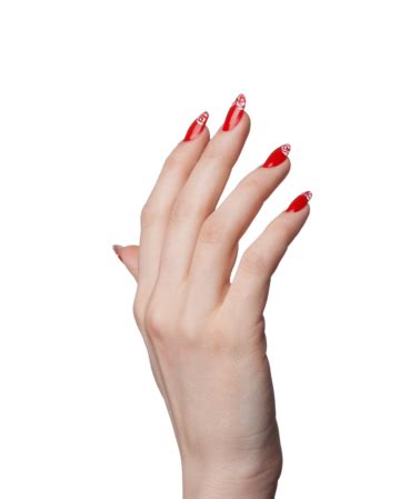 Female Hands With French Manicure Closeup, Tips, Sign, Manicure PNG ...