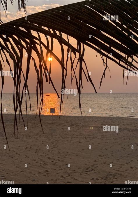 #LakeMalawi #Malawi #sunset #Africa #beach #sand #calm #Nyasaland Malawi beautiful sunset # ...