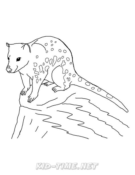 Quoll – Animals Coloring Book Pages Sheets – Kids Time Fun Places to Visit and Free Coloring ...