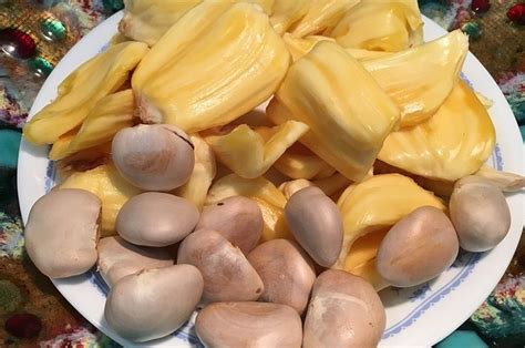 Jangan Dibuang, Biji Nangka Dapat Dimakan dan Punya Banyak Manfaat, Diantaranya Mampu Cegah ...