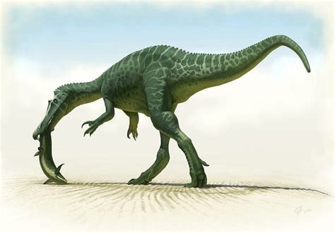 Fun Facts about Baryonyx - Dinosaur Facts