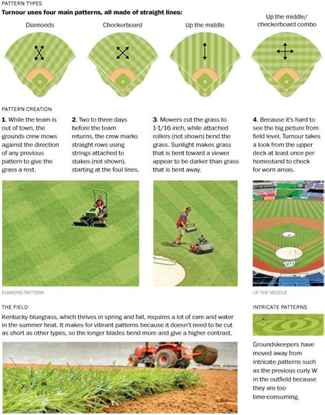 How To Cut The Grass Like A Baseball Field - BaseBall Wall