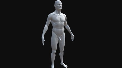 Human Male Body - Free / Downloadable - Download Free 3D model by Orthovasky [e1e7145] - Sketchfab