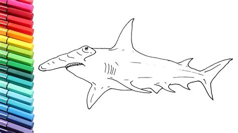 Hammerhead Shark Drawing at PaintingValley.com | Explore collection of ...