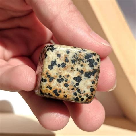 Dalmatian Stone Meaning and Spiritual Properties