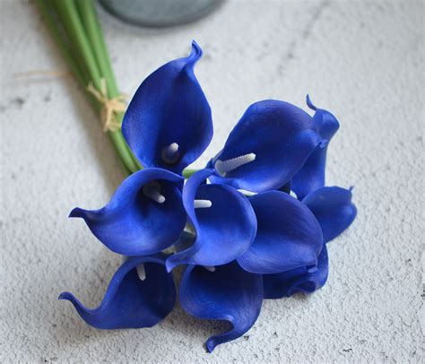 10 Dark Royal Blue Calla Lilies Real Touch Flowers DIY Silk | Etsy