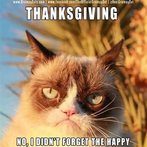Funny Thanksgiving Memes 2024 - Diana Filippa