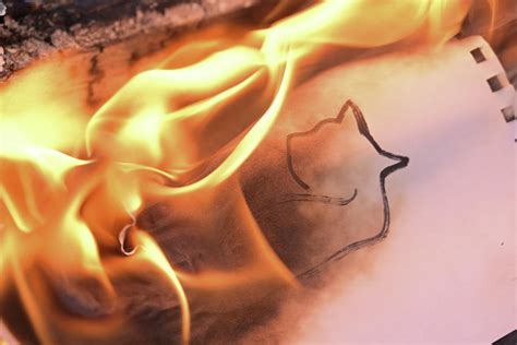 Tranforming a Cat Drawing with Fire Photograph by Katherine Nutt - Pixels