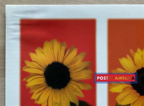 Rainbow Sunflower Vintage 2002 Photography Slim Print 12 x 36 – PosterAmerica