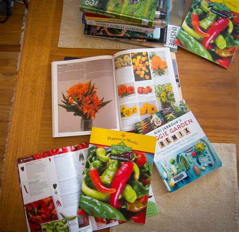 Best Vegetable Seeds Catalog – Sandia Seed Company