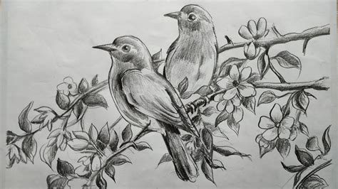 how to draw birds and flowers with pncil sketch for beginners step by step,how to draw easy bird ...