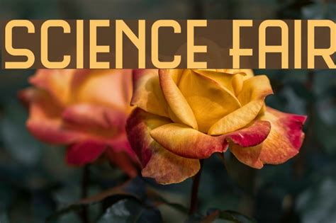 Science Fair Font - FFonts.net