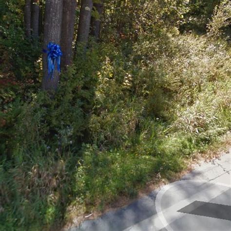 Maura Murray's car crash/disappearance site (2004) in Bath, NH (Google Maps)