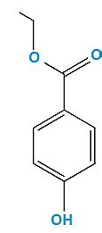 What Is Catalase Enzyme? - Chemical composition, Function, Reaction