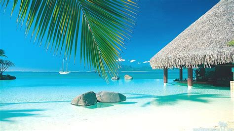 Tahiti Beach Wallpapers - Top Free Tahiti Beach Backgrounds - WallpaperAccess