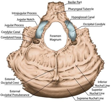 Jugular Foramen Syndrome