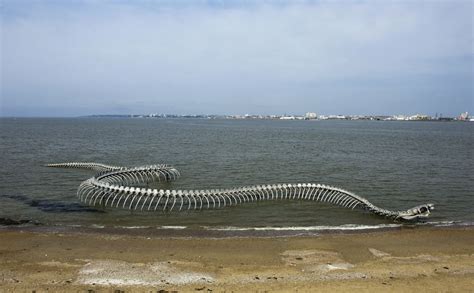 Serpent d'Océan, A Massive Metal Sea Serpent Skeleton Installed on a Beach in France | Sea ...