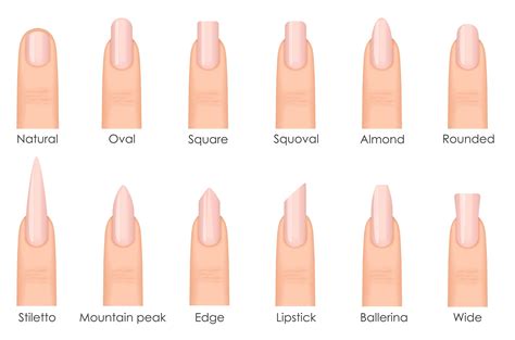 5 Perfect Nail Shapes and How to Achieve Them! - LivOliv Cosmetics