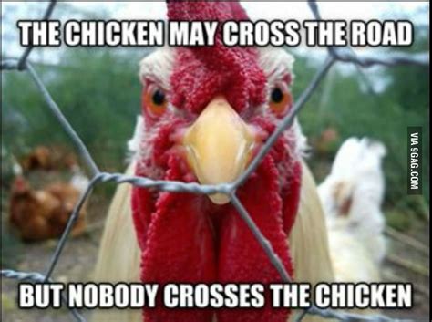 Nobody crosses the chicken. - 9GAG