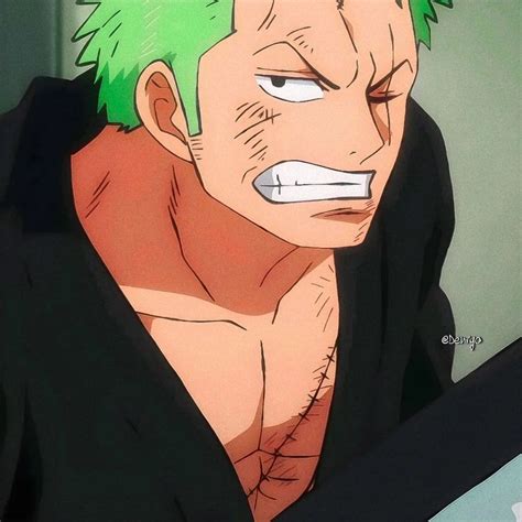 𝙍𝙤𝙧𝙤𝙣𝙤𝙖 𝙕𝙤𝙧𝙤 𝙄𝙘𝙤𝙣𝙨! | Personagens de anime, Zoro, Anime