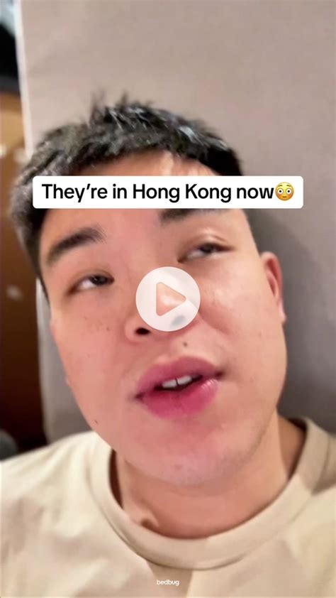 Bed Bug Infestation Hong Kong | TikTok