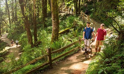 Favorite Hiking Spots in Portland | The Official Guide to Portland