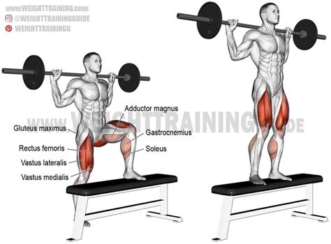 Barbell step-up exercise instructions and video | Weight Training Guide | Exercice musculation ...