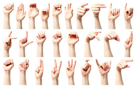 ASL Alphabet Hand Signs