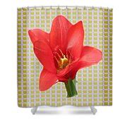 Exotic Red Tulip in bold and two border patterns tiny sparkle parallal horizontal strips summer ...