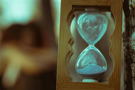 Hourglass in wooden frame placed near tree · Free Stock Photo
