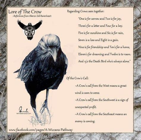 Lore of the Crow | Crow, Animal spirit guides, Animal totems