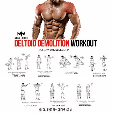 “DEMOLISH your DELTOIDS with this workout SAVE it & use it at the ...