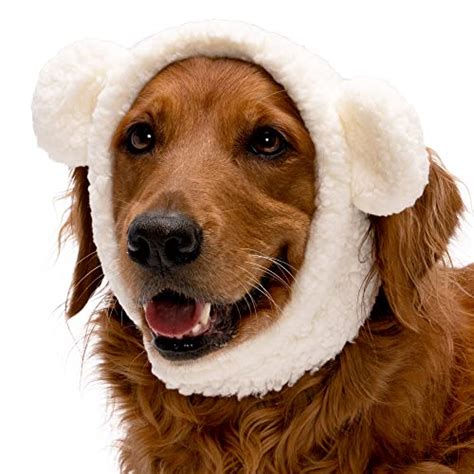 I Tested the Adorable Polar Bear Dog Costume and My Pup Couldn't Be ...