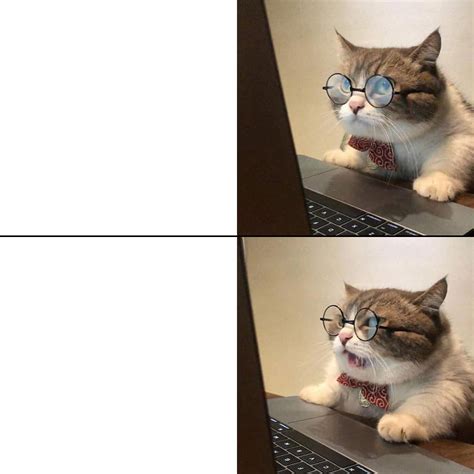 angry cat Blank Template - Imgflip