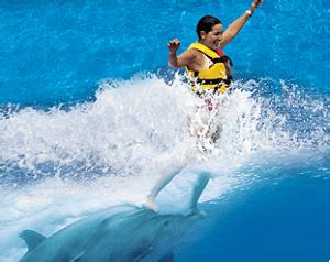 Swim with Dolphins Oahu Hawaii - (800) 667-5524