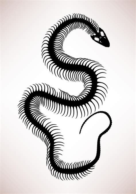 Esqueleto de hueso de serpiente. | Tatuajes de arte corporal, Tatuajes de esqueleto, Tatuajes de ...