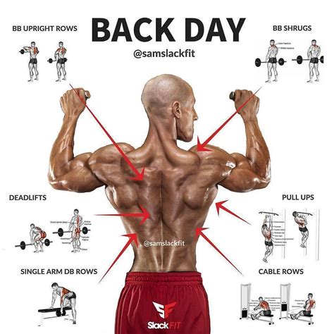 Back day. Credit:@samslackfit Follow 👉@fitness_importance… | Gym workouts, Good back workouts ...
