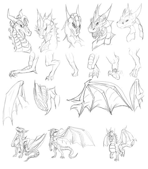 Dragon Art Study by Tsitra360 on DeviantArt